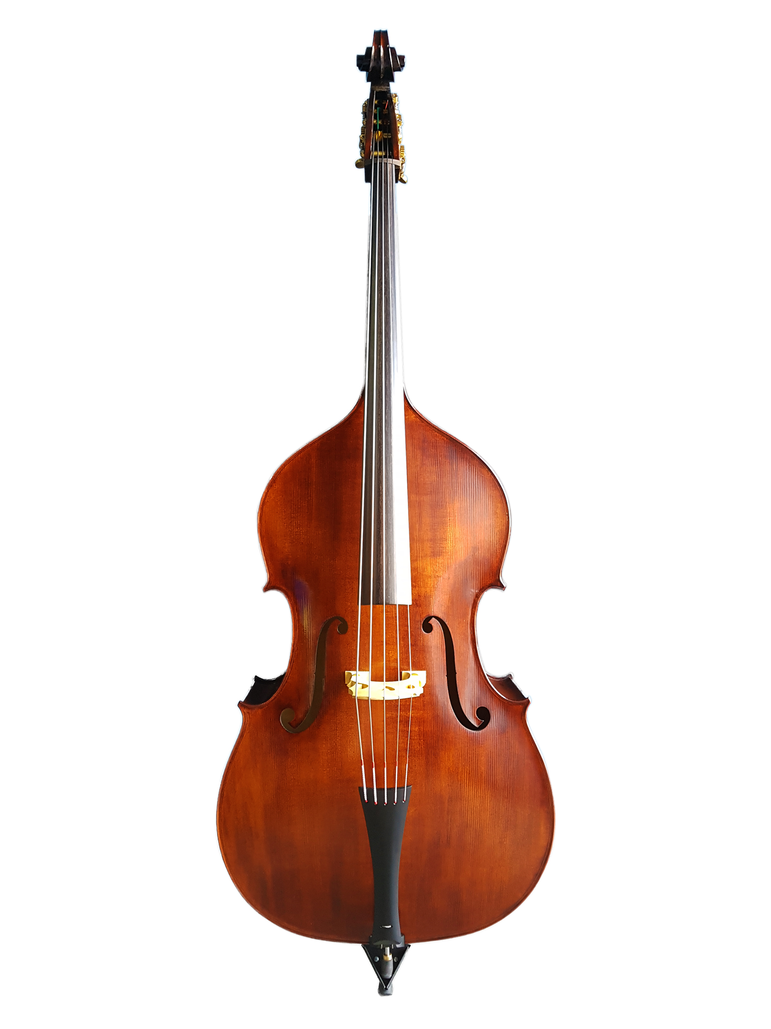 T&G 4/4 Concert Double Bass 5 string Backline Rental, Student Rental
